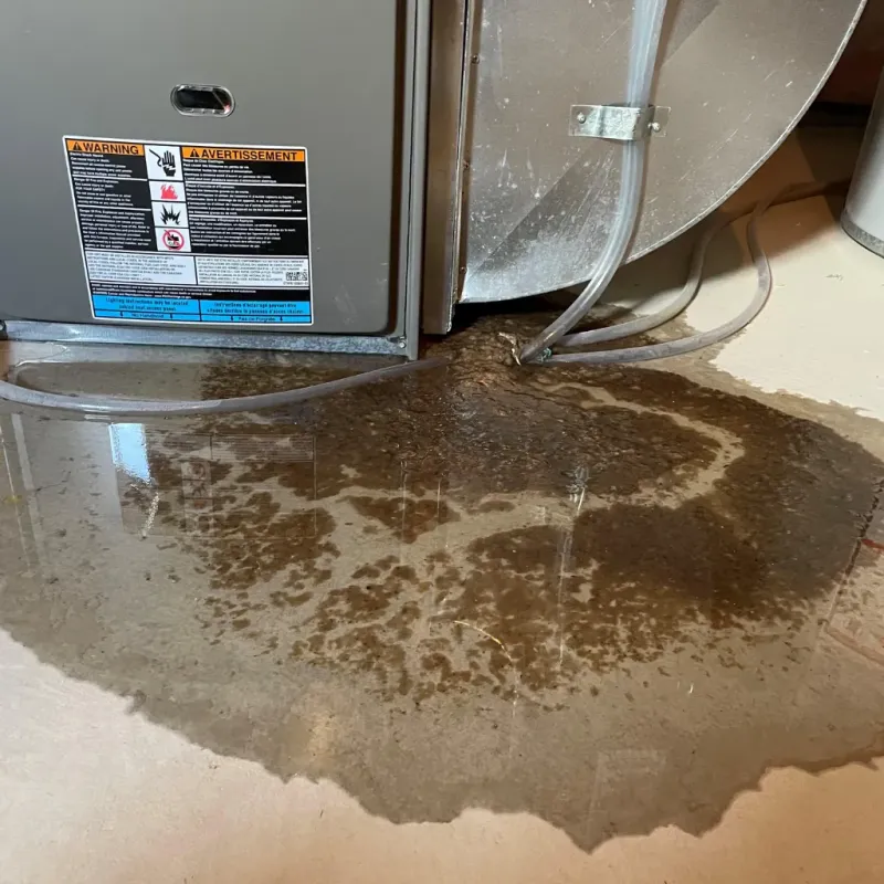Appliance Leak Cleanup in Nags Head, NC