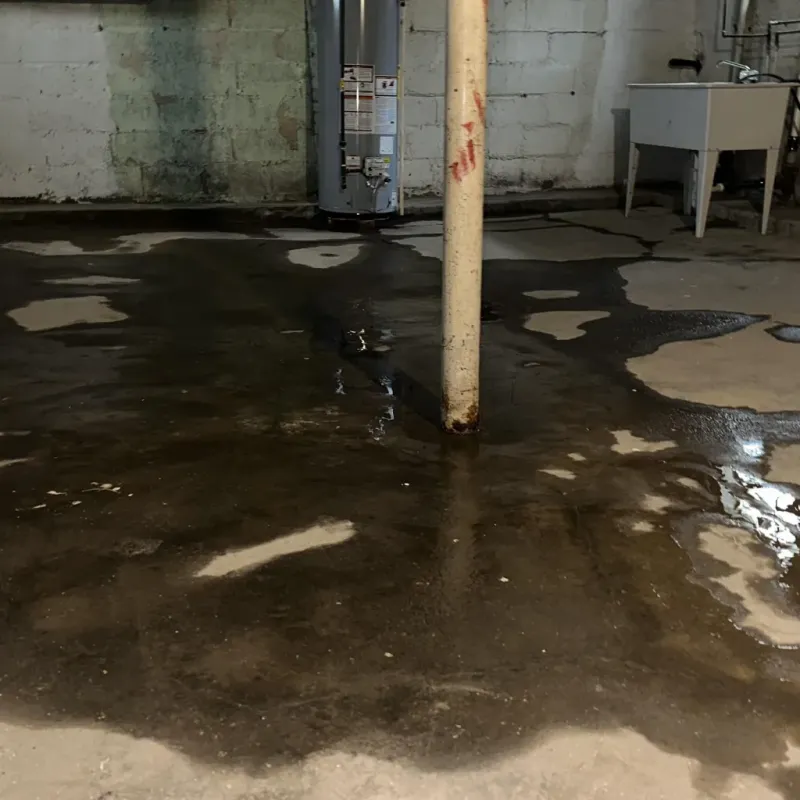 Emergency Water Extraction And Removal in Nags Head, NC